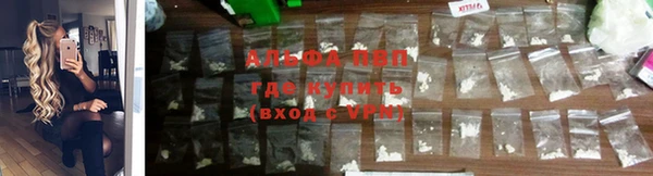 спайс Алзамай