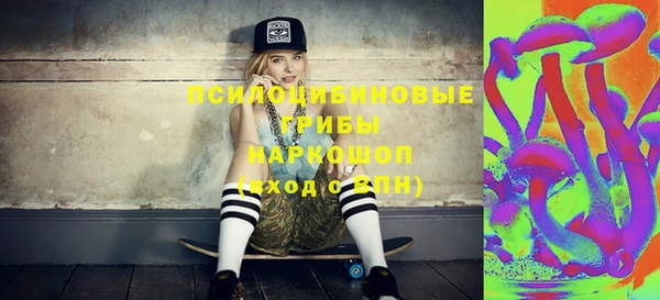 спайс Алзамай